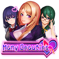 ds image