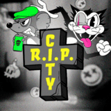 hs image