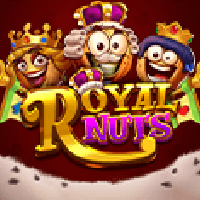 nn image