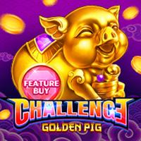 playstar image